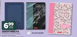 Stokrotka Zeszyt Herlitz A4 60 kartek oferta