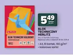 Stokrotka Blok techniczny kolorowy Herlitz A4 10 kartek oferta