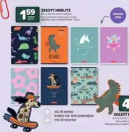 Stokrotka Zeszyt Herlitz A5 16 kartek kratka oferta