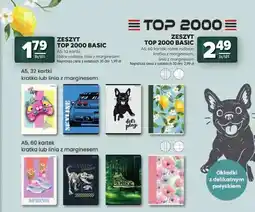 Stokrotka Zeszyt TOP 2000 Basic A5 60 kartek oferta