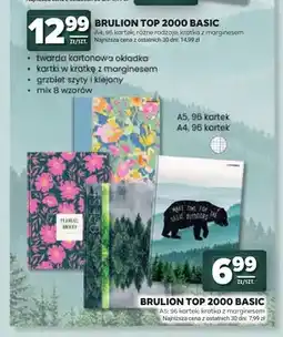 Stokrotka Brulion TOP 2000 Basic A4 oferta