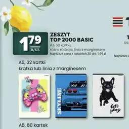 Stokrotka Zeszyt TOP 2000 Basic A5 32 kartki oferta