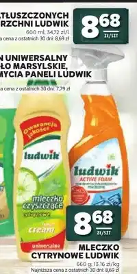 Stokrotka Płyn do zatłuszczonych powierzchni Ludwik Active Foam oferta