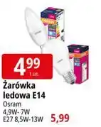 E.Leclerc Żarówka ledowa E14 Osram 4,9W-7W / E27 8,5W-13W oferta