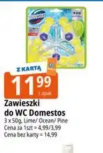 E.Leclerc Zawieszki do WC Domestos Lime / Ocean / Pine oferta