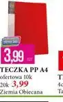 E.Leclerc Teczka PP A4 oferta