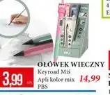 E.Leclerc OŁÓWEK WIECZNY Keyroad Miś Apli kolor mix PBS oferta