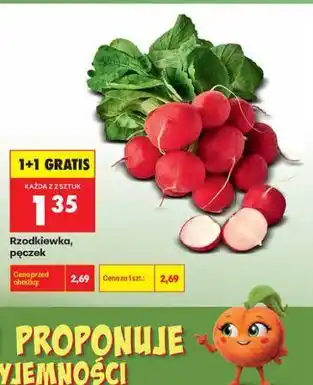 Biedronka Rzodkiewka, pęczek oferta
