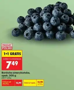 Biedronka Borówka amerykańska, opak oferta