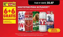 Biedronka Wszystkie piwa w puszce oferta