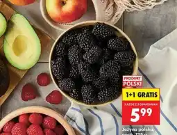 Biedronka Jeżyna polska, opak oferta
