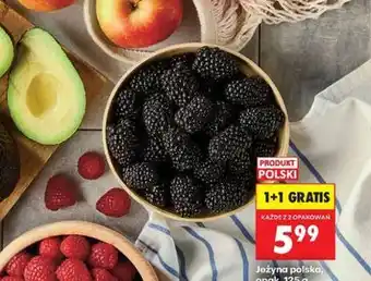 Biedronka Jeżyna polska, opak oferta