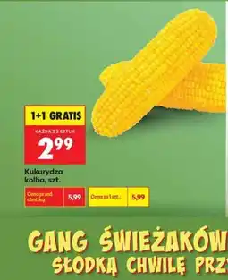 Biedronka Kukurydza kolba, szt oferta