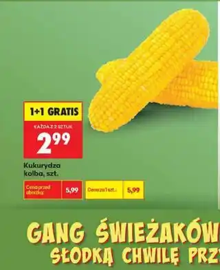 Biedronka Kukurydza kolba, szt oferta