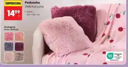 Biedronka Poduszka dekoracyjna oferta