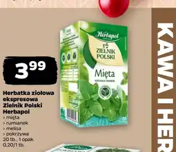 Netto Mięta Herbapol oferta