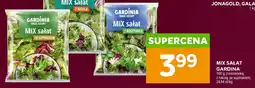 Stokrotka Mix sałat Gardinia ze szpinakiem oferta