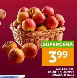 Stokrotka Jabłka Gala oferta