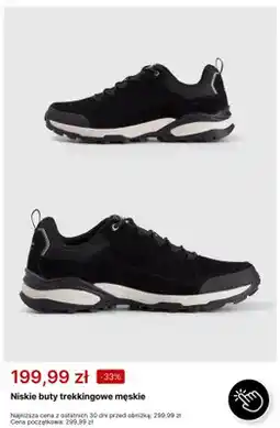 4F Niskie buty trekkingowe męskie 4F oferta