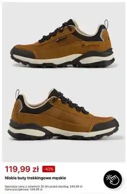 4F Niskie buty trekkingowe męskie 4F Ashrise 1,0 oferta