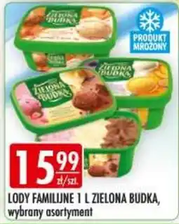 Sklepy Doroty Lody Familijne 1 L Zielona Budka oferta