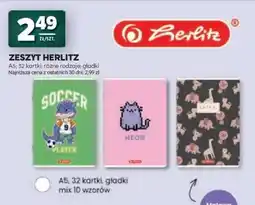 Stokrotka Market ZESZYT HERLITZ oferta