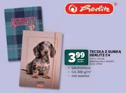 Stokrotka Market TECZKA Z GUMKĄ HERLITZ C4 oferta
