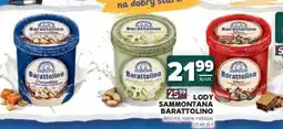 Stokrotka Market Lody Sammontana Barattolino oferta