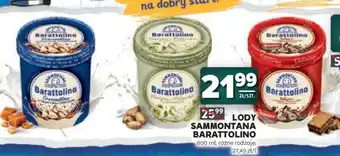 Stokrotka Market Lody Sammontana Barattolino oferta