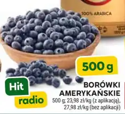 Stokrotka Market Borówki amerykańskie oferta