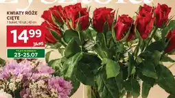 Stokrotka Market KWIATY RÓŻE CIĘTE oferta