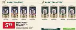 Stokrotka Market Karma mokra dla psa, kota Nutrivida oferta