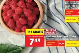 Biedronka Malina polska, opak. 200 g oferta