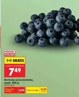 Biedronka Borówka amerykańska opak 300 g oferta