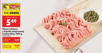 Biedronka Mięso mielone z łopatki wieprzowej Kraina Mięs 500 g oferta