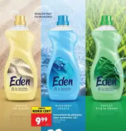 Biedronka Koncentrat do płukania Eden Authentic, 1,8 l oferta