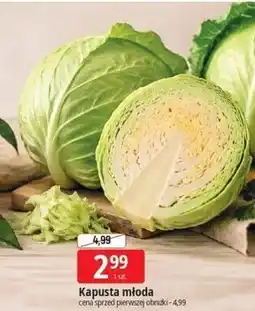 E.Leclerc Kapusta młoda oferta