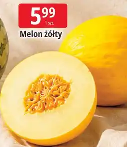 E.Leclerc Melon żółty oferta