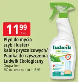 E.Leclerc Płyn do mycia szyb i luster/ kabin prysznicowych/ Pianka do czyszczenia Ludwik Ekologiczny oferta