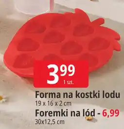 E.Leclerc Forma na kostki lodu oferta