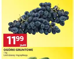 Stokrotka Ogórki oferta