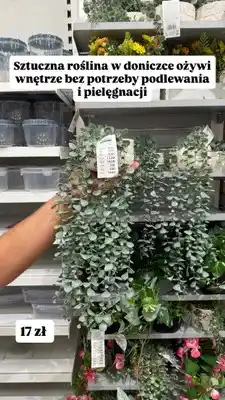 Pepco Sztuczna roślina w doniczce Pepco Home oferta
