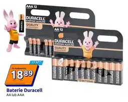 Action Baterie alkaliczne Duracell Everyday Alkaline AAA 12-pak oferta