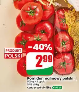 Dino Pomidor malinowy polski oferta
