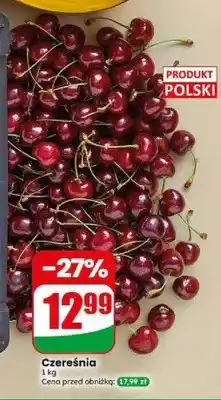 Dino Czereśnia polska oferta