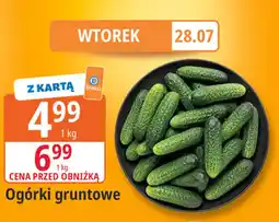 E.Leclerc Ogórki grunte oferta