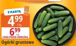 E.Leclerc Ogórki gruntowe oferta