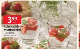 E.Leclerc Kubek szklany Minti/Herbal Florentyna oferta