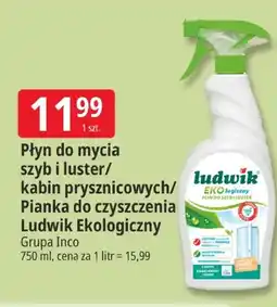 E.Leclerc Płyn do mycia szyb i luster Ludwik Ekologiczny oferta