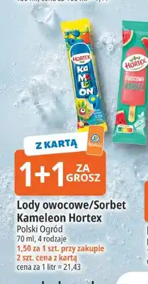 E.Leclerc Lody owocowe Kameleon Hortex oferta